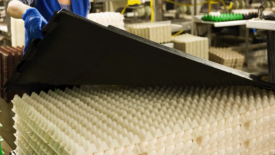 utilizing plastic egg pallets to protect a shipment of eggs