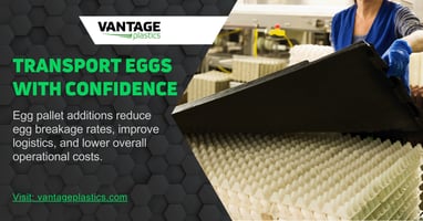 Optimizing Egg Pallets With Customized Additions