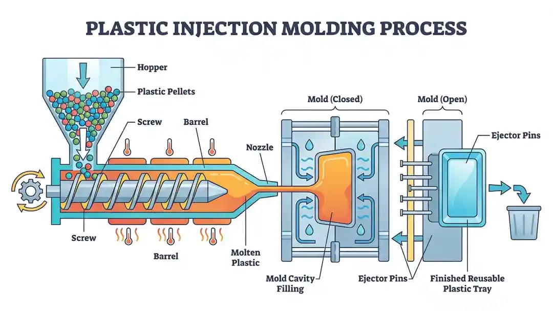 Colorful cutaway cartoon of a plastic injection molding machine in side view that shows plastic pellets entering a hopper, melting and moving along a rotating screw, then being injected into a closed mold that opens to release a finished reusable plastic tray, visually explaining how injection molding works step by step.