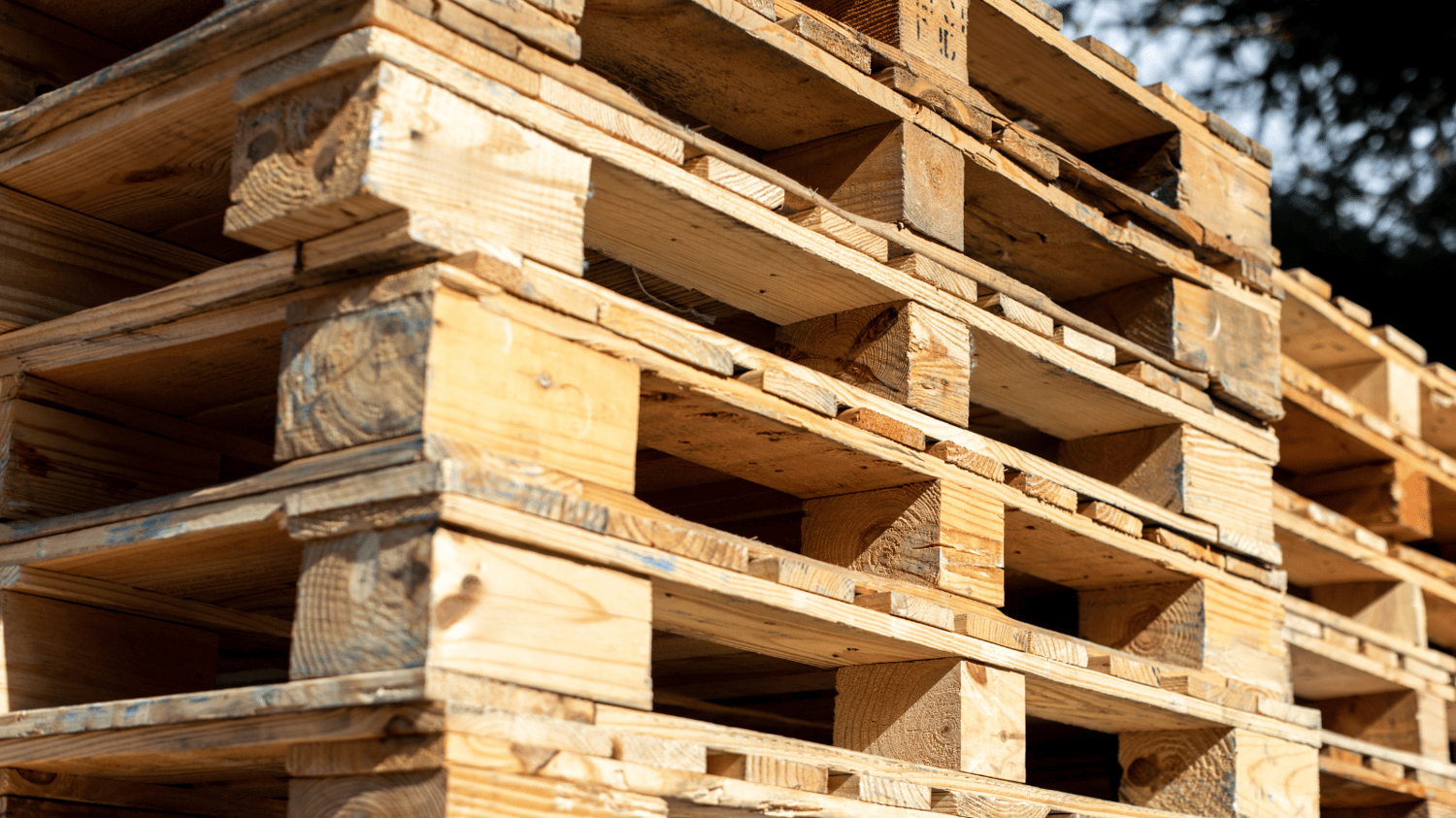 The Disadvantages of Wood Pallets for Food Transportation